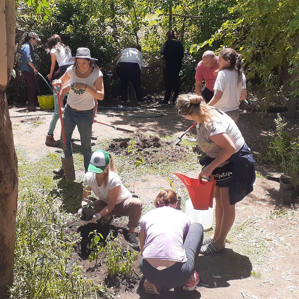 Plantando un jardin de plantas nativas