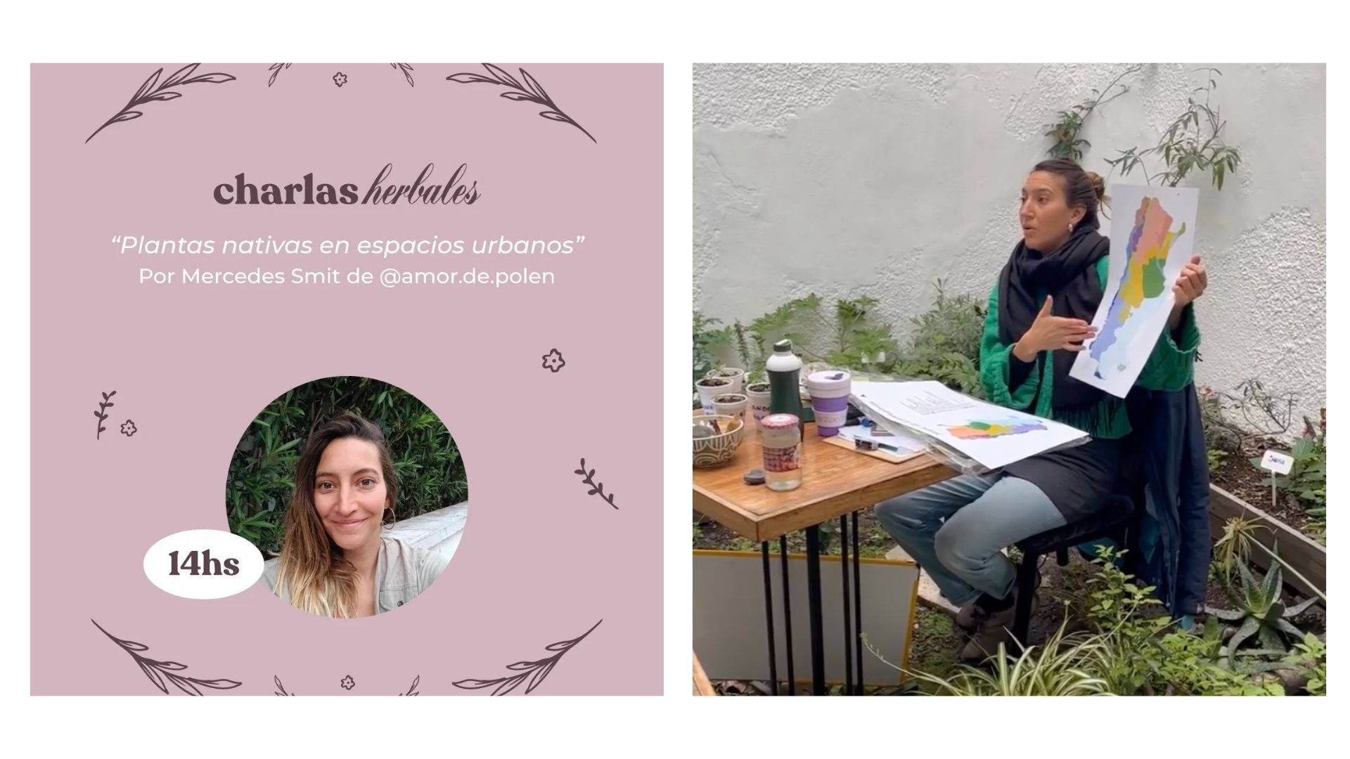 Taller de plantas nativas