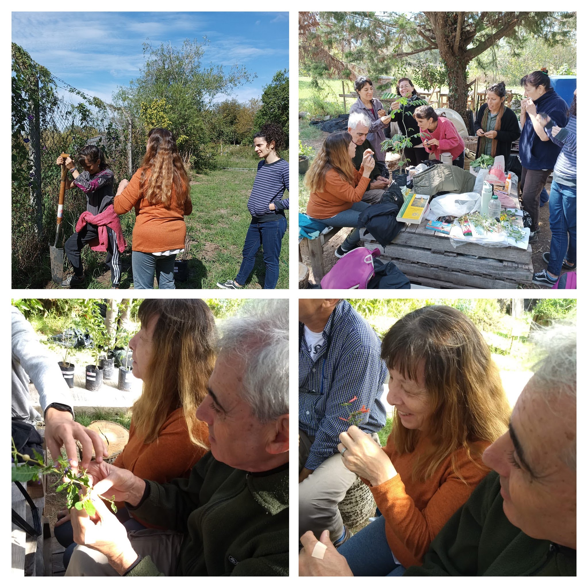 Conociendo las caracteristicas de las plantas y luego plantamos.