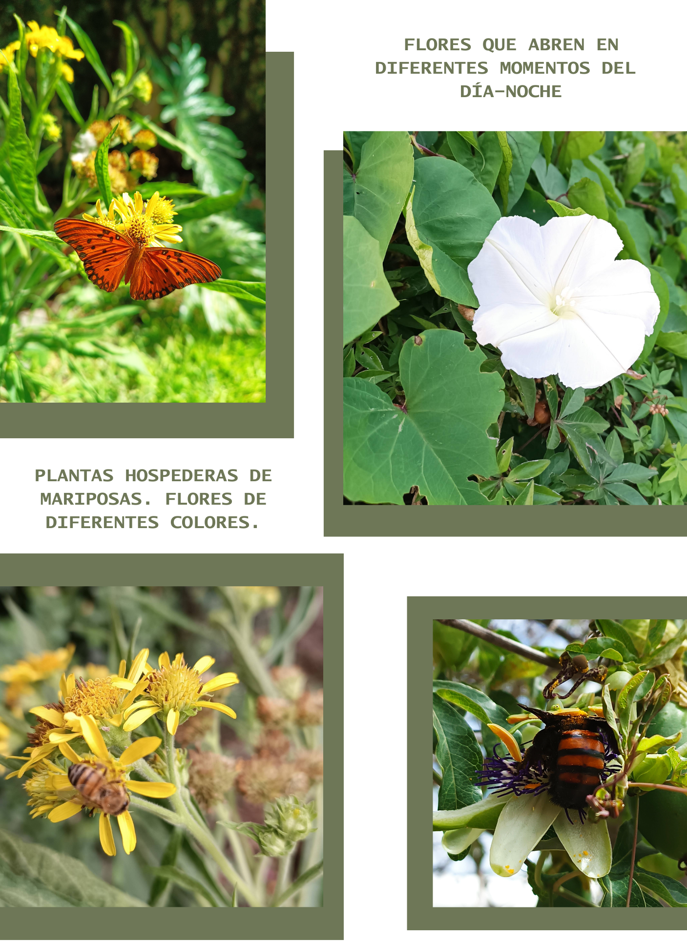 Jardines biodiversos