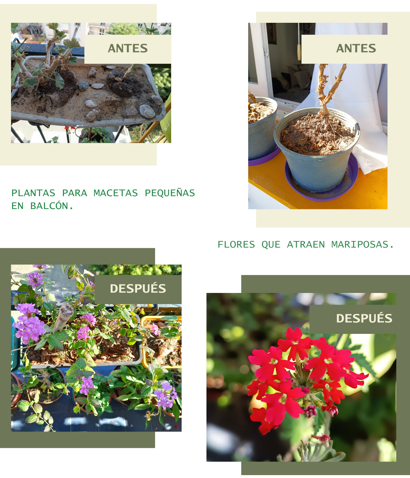 Jardines biodiversos