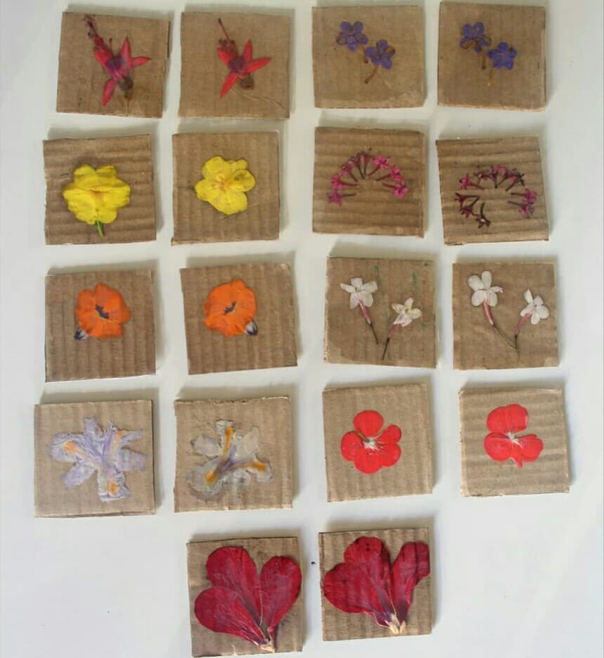 Memotest vegetal con flores
